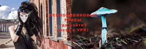 гашик Богданович