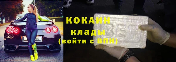 гашик Богданович