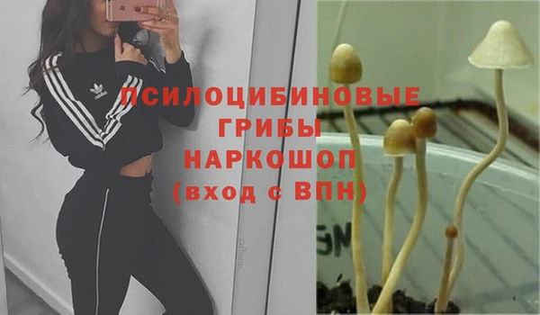 мефедрон Богородск