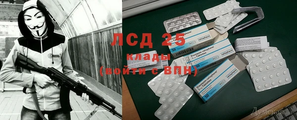 крисы Белокуриха