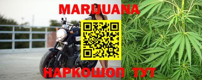 прущие грибы Белорецк