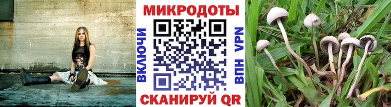 Псилоцибиновые грибы MAGIC MUSHROOMS  Бузулук 