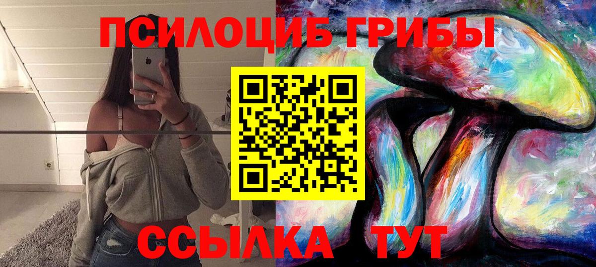 Псилоцибиновые грибы Psilocybine cubensis  Вход с VPN  Псилоцибиновые грибы Psilocybine cubensis  Бузулук 